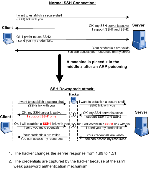 putty ssh downgrade attack 