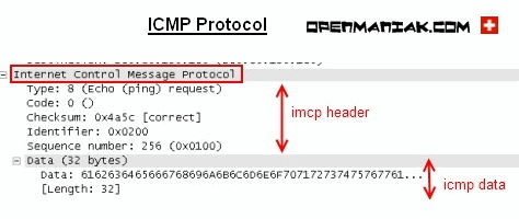 ping icmp header