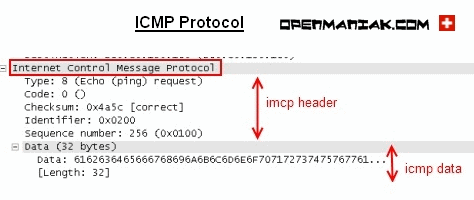 ping icmp header en-tête