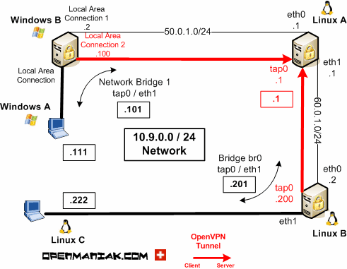 openvpn bridge scenario