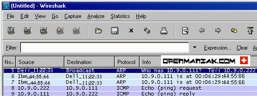 openvpn bridge wireshark