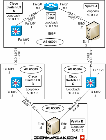 vyatta cisco étude de cas BGP