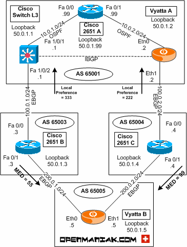 vyatta cisco case study BGP