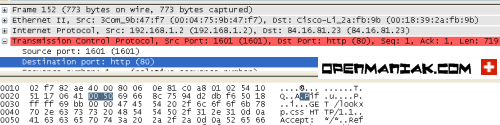 wireshark packet dissector pane